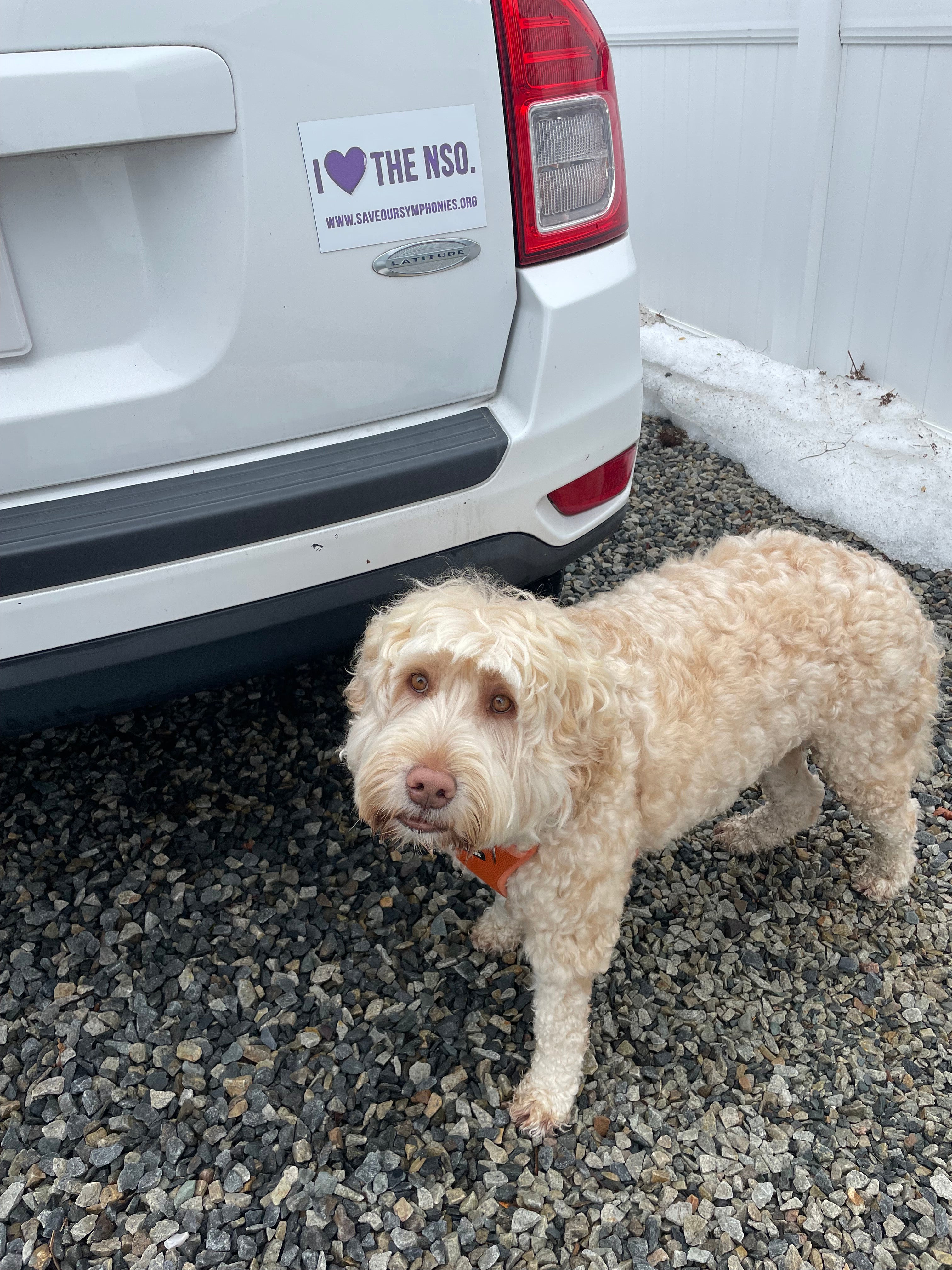 NSO Car magnet (4.5" x 7.5")