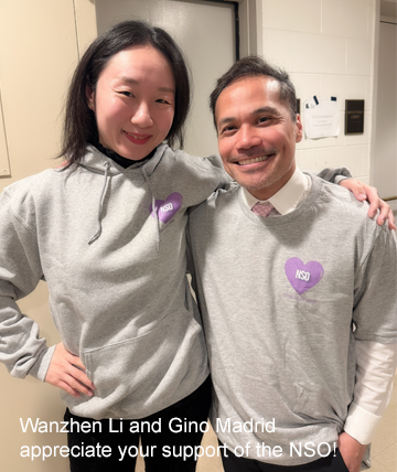 Unisex NSO Purple Heart Champion hoodie